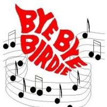 The Pembroke Pines Theatre of the Performing Arts Presents BYE BYE BIRDIE 11/6